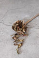 Java Tea