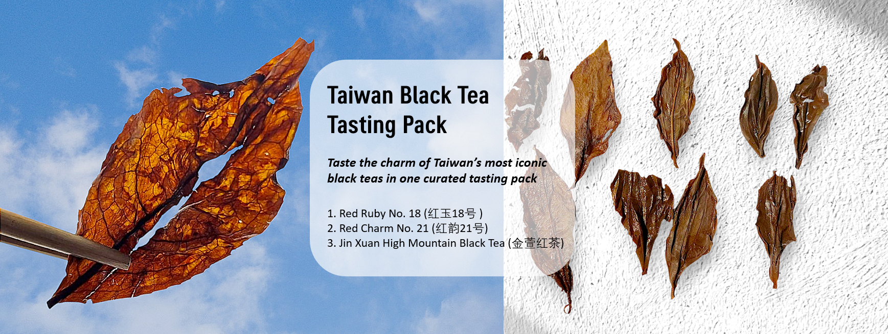 Taiwanese black tea trio: Red Charm 21, Red Ruby 18, and Jin Xuan in tasting pack