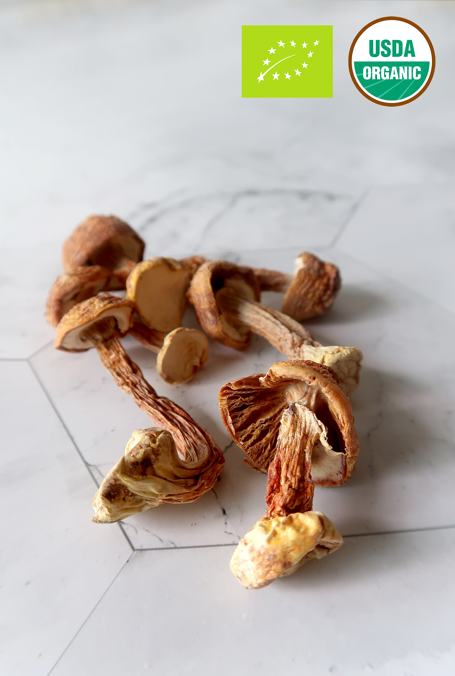 Organic Dried Almond Mushroom