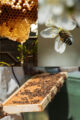 Organic Bee Pollen