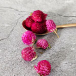 Globe Amaranth Flowers