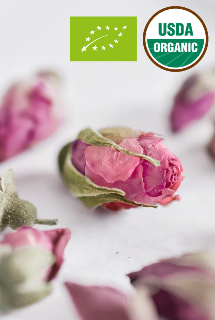 Organic Bulgarian Damask Rose