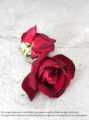 Organic Rare Violet-Red Rose Petals